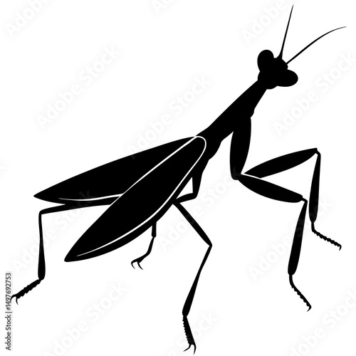 Praying Mantis Silhouette Vector Illustration Graphic