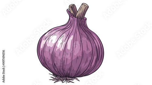 A detailed digital illustration of a single red onion, depicted against a stark white background. The onion is rendered in a style reminiscent of a botanical illustration or line drawing with.