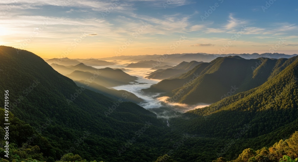 Naklejka premium Mountain valley blanketed in mist at dawn