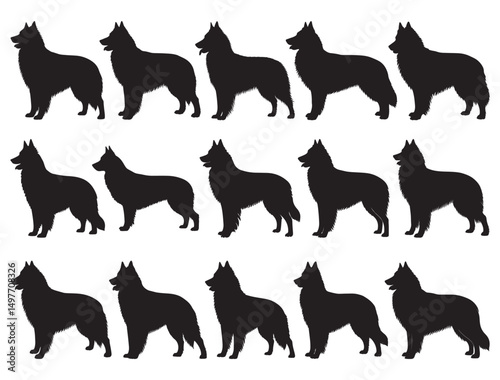 BELGIAN TERVUREN DOG SILHOUETTE