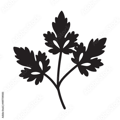 Coriander icon vector silhouette