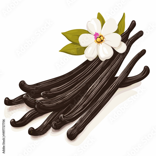 The closeup vanilla flower and beans isolated on white background vector illustration