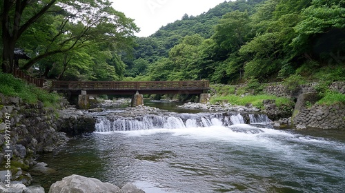 small waterfall in the forest