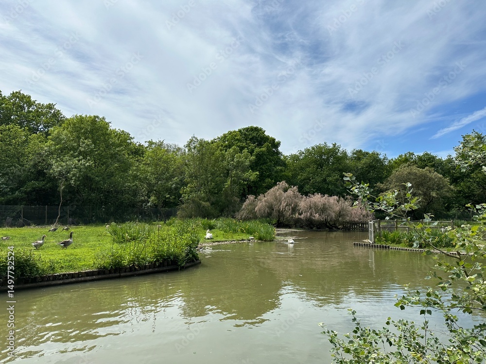 Fototapeta premium marais aux oiseaux de Dolus d'Oléron