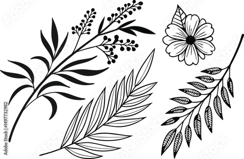 Boho Botanical Bundle Silhouette Design for Crafts and Decor. Botanical Silhouette Bundle with Boho Style Elements. Aesthetic Boho Botanical Silhouette Collection for Designers