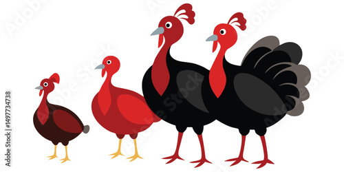 Four Turkeys in Different Sizes