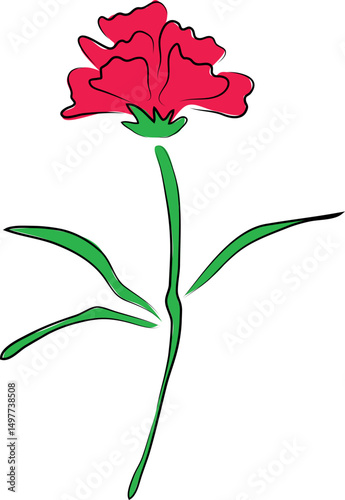 one realistic red blooming carnation flower with green foliage color drawing, hand drawn black curved simple lines