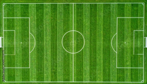 Top-down view of a freshly marked green football field representing organization  competition and sporting spirit in a professional setting