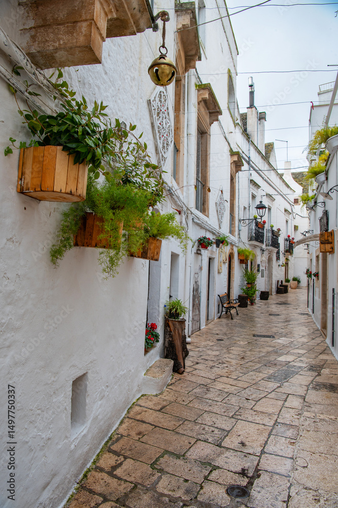 Fototapeta premium Narrow street of Locorotondo. Amazing view of the cozy old town with plants in Locorotondo, Apulia Region, Italy