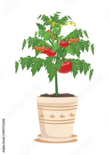 Tomato bush with ripe tomatoes in a flowerpot. Growing vegetables at home. Vegetarianism and healthy eating. Vector illustration isolated on a white background.