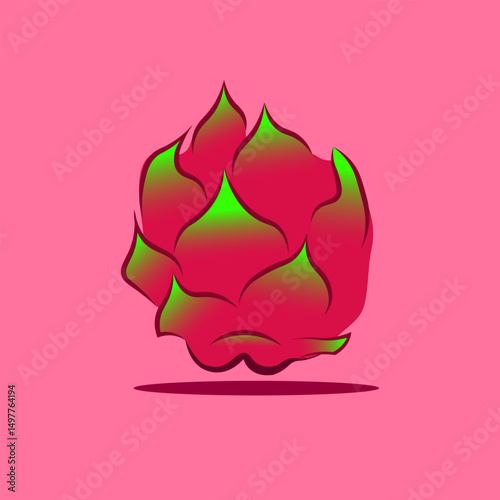 Fresh dragon fruit vector illustration