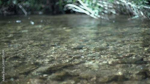 Water rolling at the river in the forest
