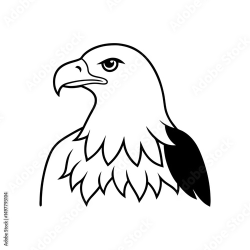 Vector illustration of bald Eagle.