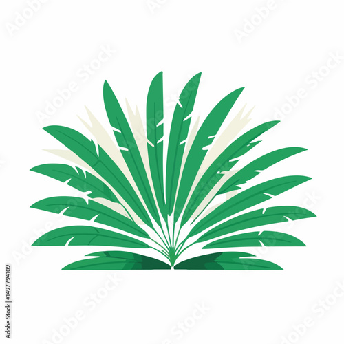 Tropical Fan Leaf