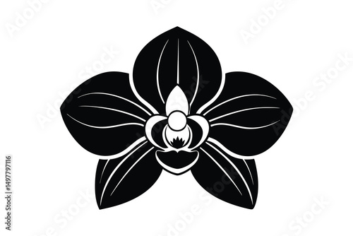 Orchid flower icon vector on White Background ,Vector Art Illustration on white background.
