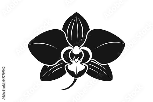 Orchid flower icon vector on White Background ,Vector Art Illustration on white background.