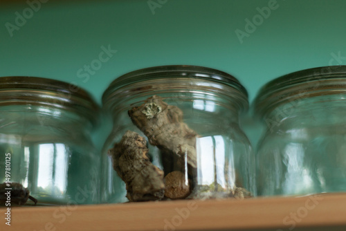 Interior details of a European school with an alternative educational approach. Montessori or Waldorf methods. An organized environment that supports independence, curiosity, and hands-on learning.  photo