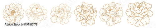 Vintage gold line flowers, white flowers for card decoration