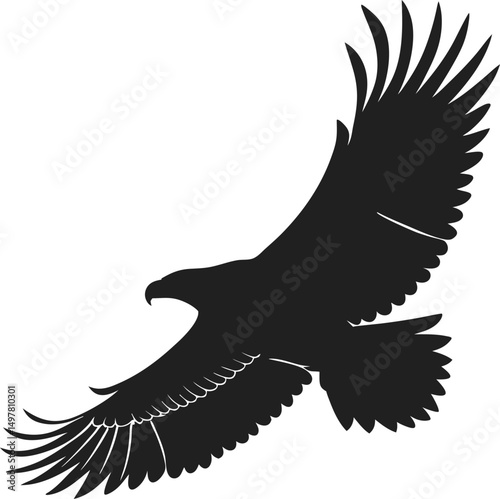 Flying Eagle Silhouette
