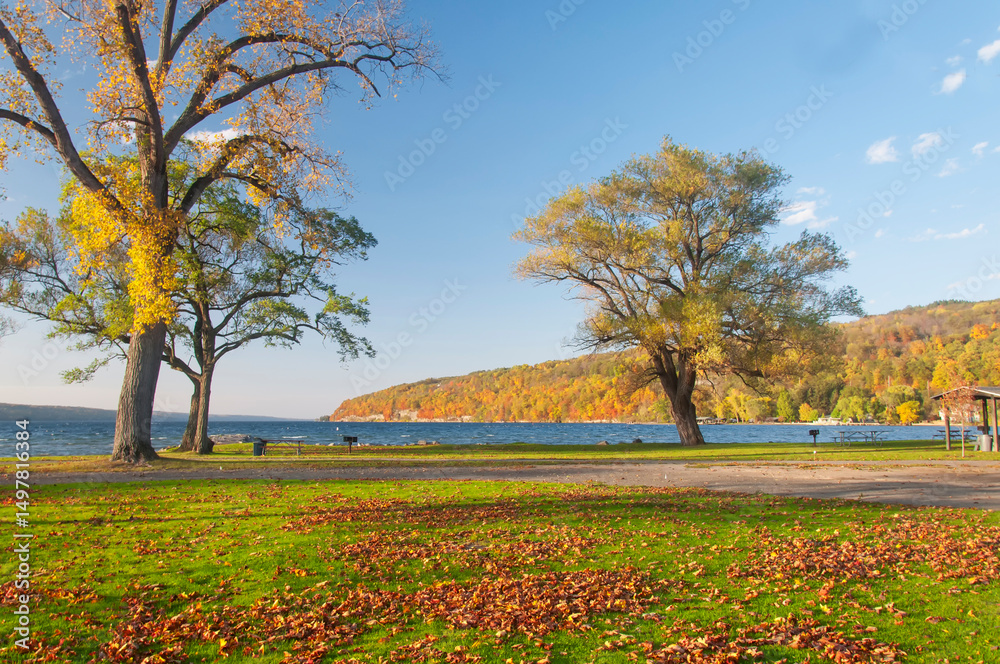 Obraz premium clute park on lake Seneca in Autumn