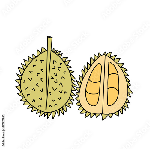 Durian fruit on white background. Cartoon Style Illustration