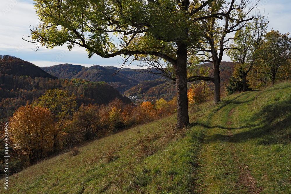 Naklejka premium Blick vom Immenberg auf Unterhausen, Schwäbische Alb im Herbst