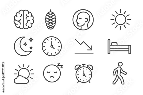 Understanding the connection between sleep, health, and daily rhythms in lifestyle choices and habits