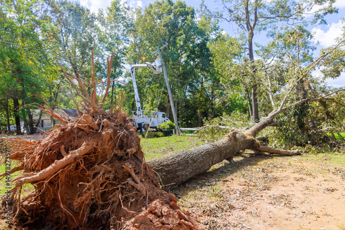 Utility workers respond to downed tree in residential area, ensuring safety restoring power after recent storm.