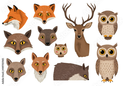 Cute Cartoon Forest Animals Heads and Full Body Illustrations