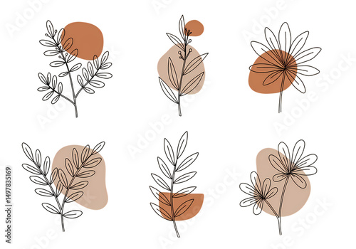 Six Abstract Botanical Illustrations with Earthy Tones