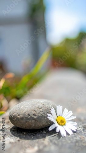 Tranquil Stone and Flower Composition in Nature's Embrace