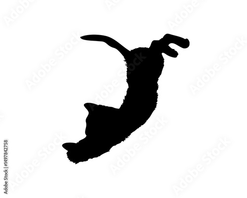 Black Rabbit Silhouette: A minimalist silhouette captures the essence of a playful rabbit in mid-jump against a stark backdrop, evoking movement, energy, and freedom.