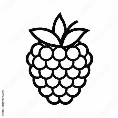blackberry fruit vector icon on white background