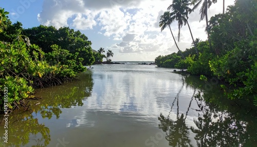 Tranquil Tropical Lagoon Surrounded by Lush Green Vegetation and Sky