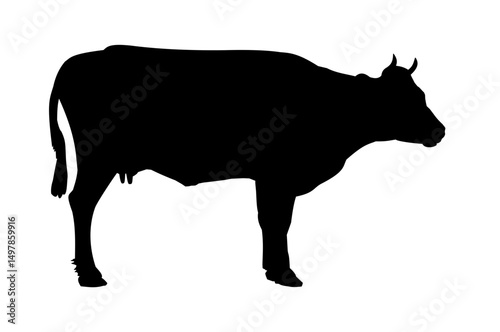Black Silhouette of a Cow: A stark silhouette of a cow showcases its elegant form. The image portrays the animal against a simplistic backdrop