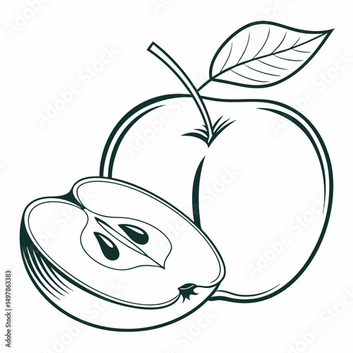 vector illustration of an apple