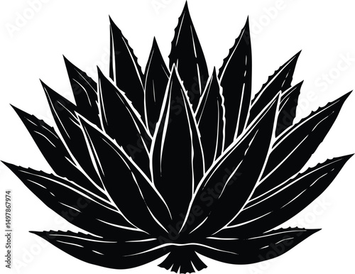 Black and white agave plant silhouette botanical illustration