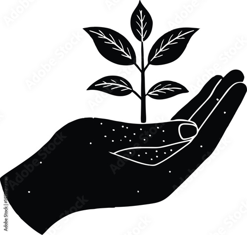 Hand holding a young sprout plant growth nature