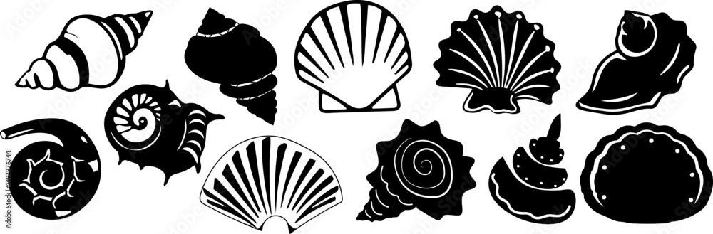 Fototapeta premium Set of vector seashell icons.Black seashell illustrations in a minimalist style.