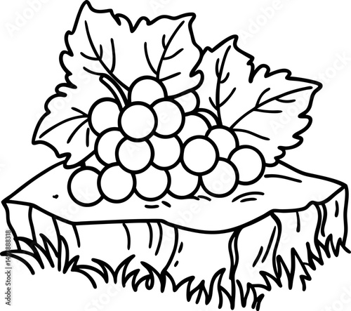 grape bunch with leaves on textured wooden stump outline illustration of vineyard harvest, organic fruit