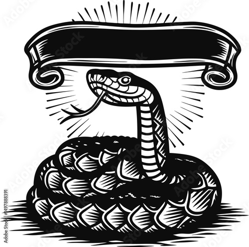 coiled snake with raised head, open mouth black and white illustration with blank scroll banner