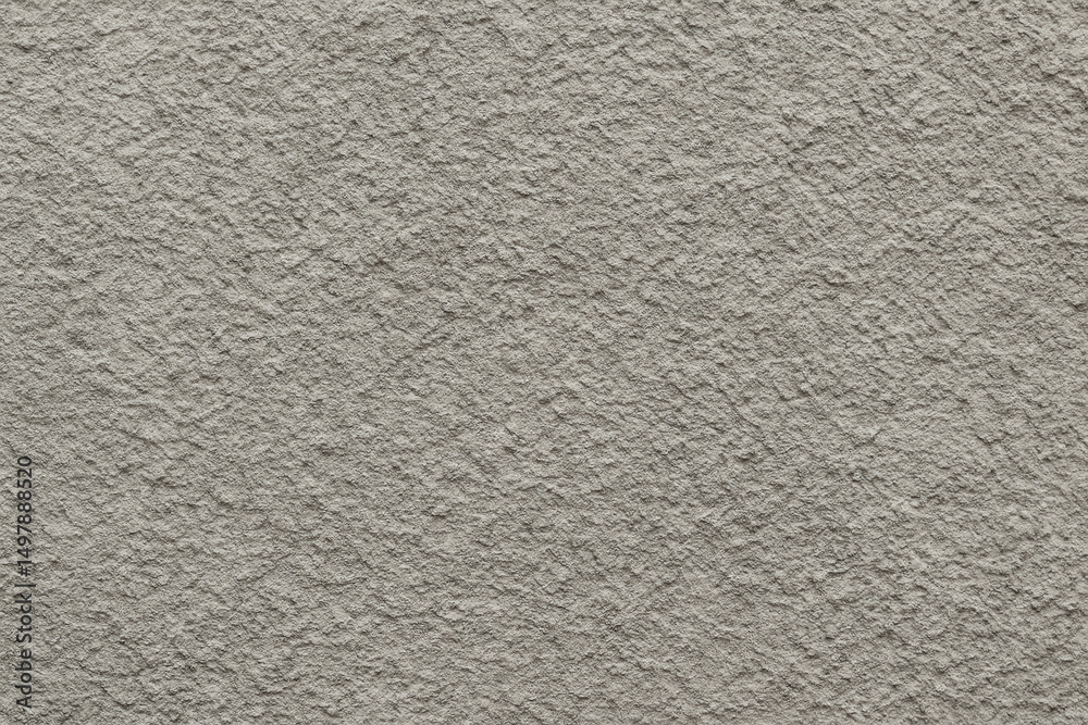 A close-up texture of a light gray plaster wall, showcasing intricate patterns and a rough surface. Ideal for background use in architectural or design projects.