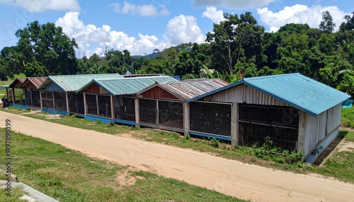 Resilient Dog Shelter Complex Near Apei in Pokot Region photo
