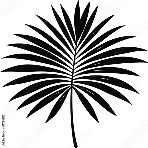 Black and white tropical palm leaf silhouette illustration