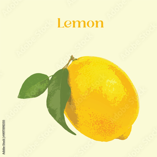 Simple muted colour lemon illustration. Lemon vector clip art. Cute citrus vector illustration  