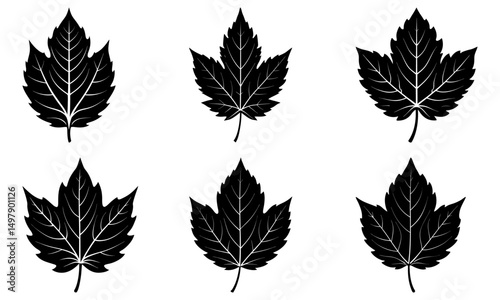 Mallorn Leaf Silhouette vector illustration