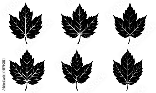Mallorn Leaf Silhouette vector illustration