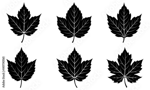 Mallorn Leaf Silhouette vector illustration