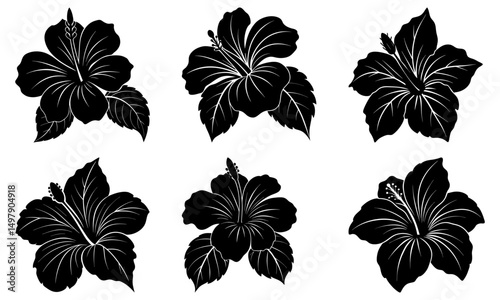 Hibiscus Silhouette vector illustration