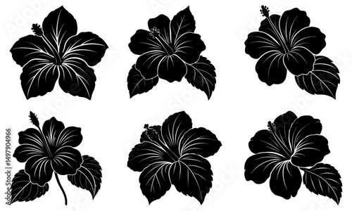Hibiscus Silhouette vector illustration